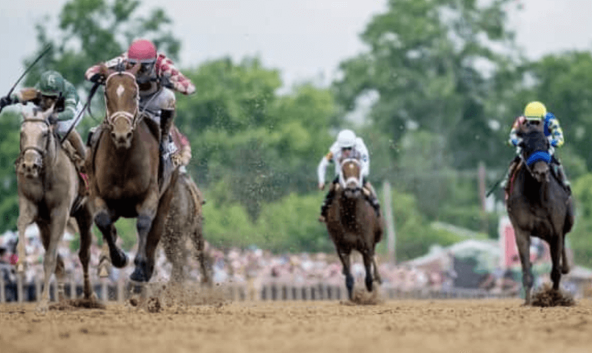 The Role of Stewards in Horse Racing: Ensuring Fair Play