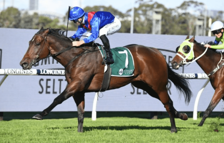 The Role of the Paddock in Horse Racing