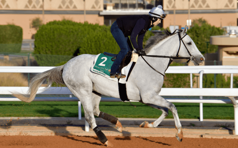 The Role of Trainers in Horse Racing Success