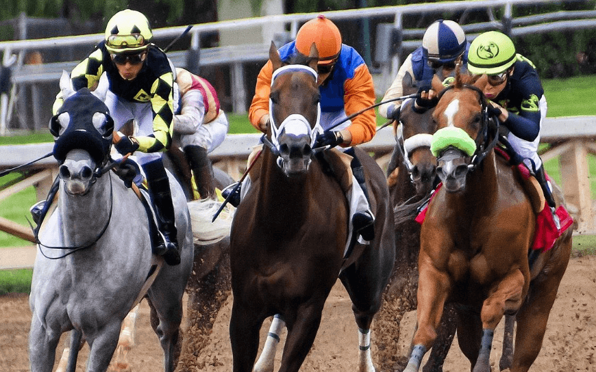 The Role of Veterinary Science in Horse Racing