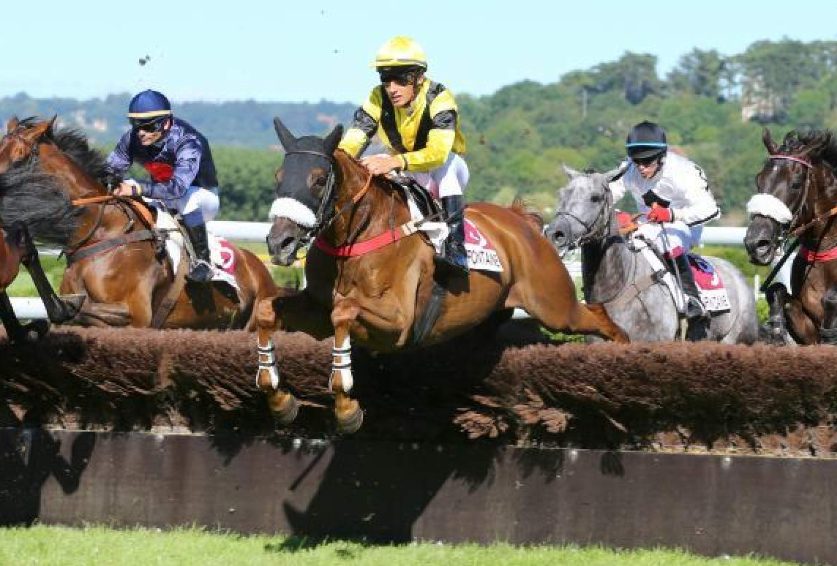 oceanneturf || oceanne turf || ocean turf || oceane turf || oceanneturf pmu