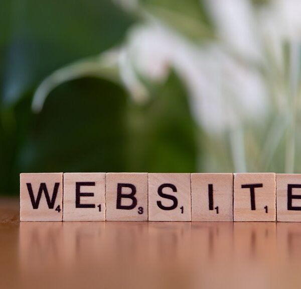 internet query taxonomy examples and ids