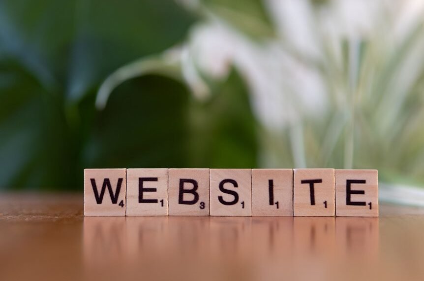 internet query taxonomy examples and ids